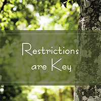 Restrictions are Key